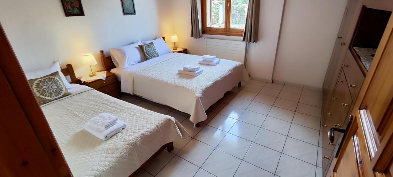 Apartament Theofania'S Marble House Meteora Kastraki Zewnętrze zdjęcie